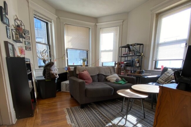 31 St Lukes Rd, Boston, MA 02134 - Apartments in Boston, MA ...