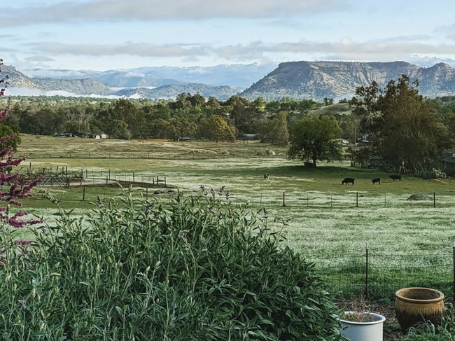 Wake up to this view! - 26180 Whispering Oak Ln