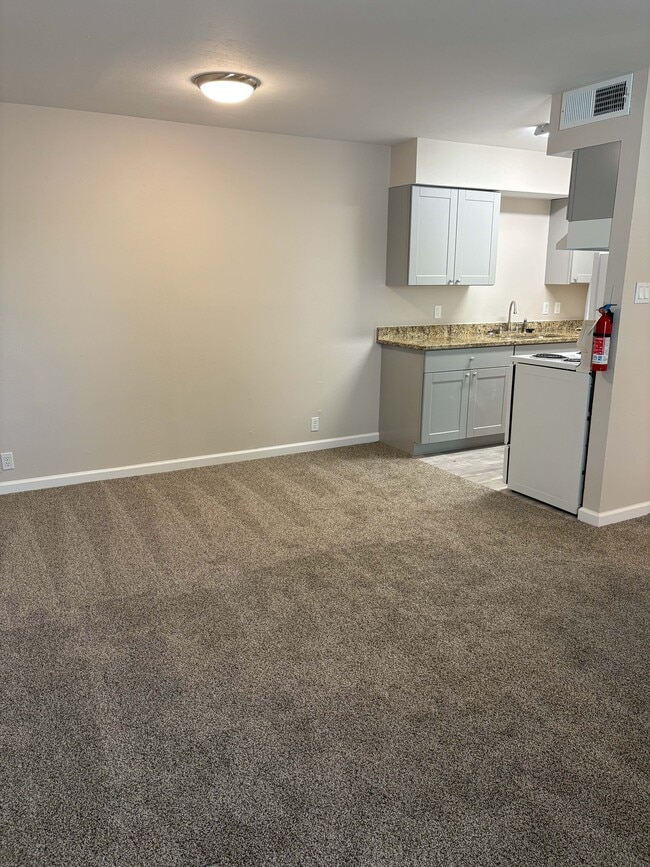 Studio-Kitchen Area - Wolf Ridge Apartments