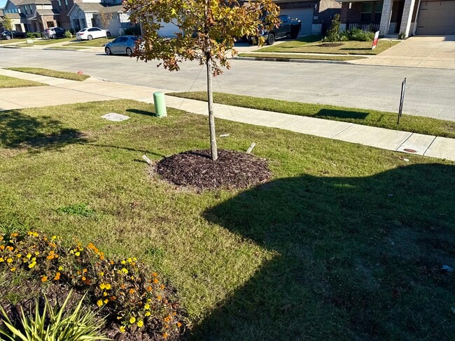 Building Photo - 2358 Aspen Hl Dr