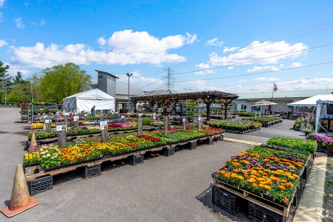 Wards Berry Farm, a 175-acre expanse where a cornucopia of different fruits and vegetables are grown in Sharon.