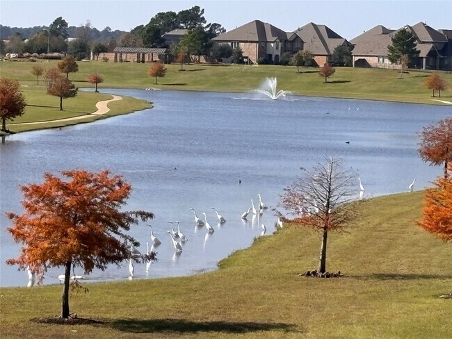 Foto del edificio - 7414 Evelyn Grv Dr