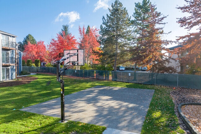 Basketball Court - Aloha Park