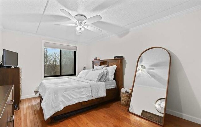 Building Photo - Colonial