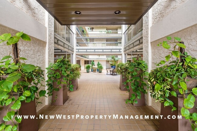 Building Photo - Expansive La Jolla Village 2 Bedroom at De...