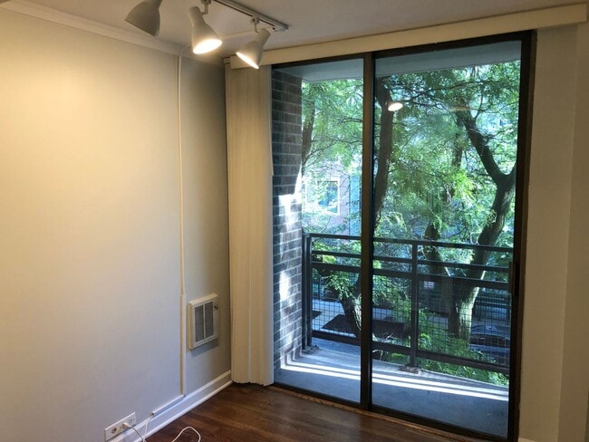 Beautiful Lincoln Park condo situated right next to Lake Shore Drive and Clark Street! - Beautiful Lincoln Park condo situated right next to Lake Shore Drive and Clark Street!