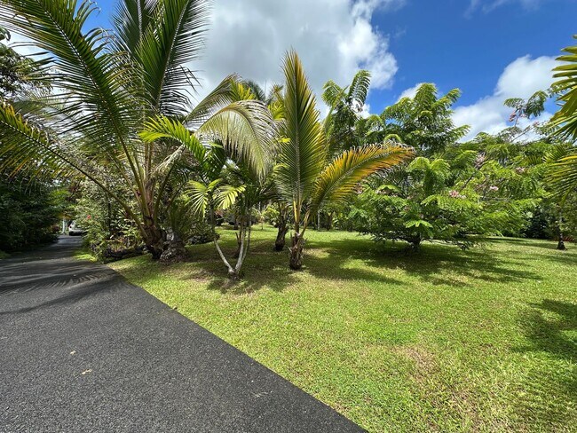 Foto del edificio - 1bd & 1 1/2 ba Fully Furnished & Move in Ready & all appliances included