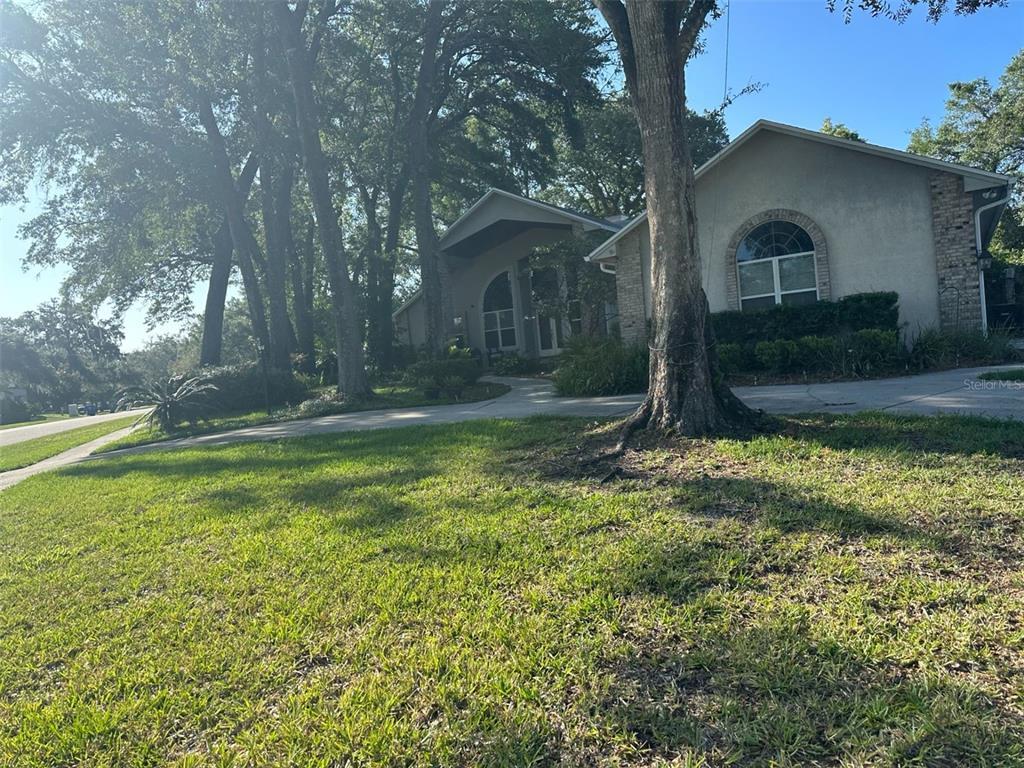 Primary Photo - 260 Shady Oaks Cir
