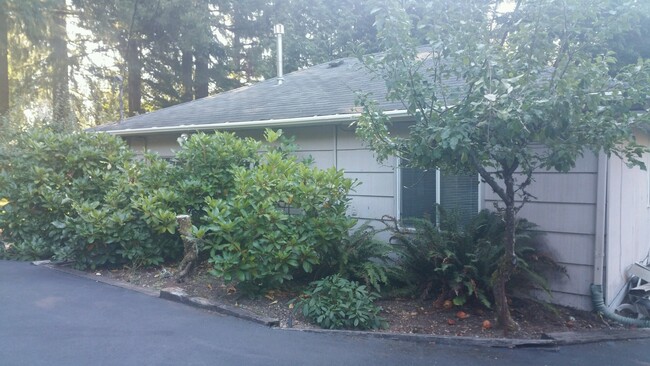 Foto del edificio - Adorable Cottage in University Place