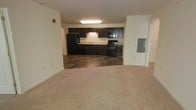 This single-floor space showcases an open-concept layout that integrates the living area and kitchen into one cohesive environment. The kitchen is outfitted with rich, dark espresso cabinetry that extends to the upper walls, providing ample storage. Black appliances, including a full-size refrigerator, electric range with microwave overhead, and a sink positioned along the back wall, complement the cabinetry for a uniform, modern aesthetic. The kitchen flooring features durable dark tile in a stone-like pattern, creating a clear visual boundary between the cooking space and the adjacent living area. The living area is finished with neutral, wall-to-wall carpeting that adds warmth and comfort underfoot. Walls are painted in a clean, light neutral tone, enhancing the sense of openness throughout. An electrical panel is conveniently accessible along one wall, and an arched doorway detail adds a subtle architectural accent. Overhead fluorescent lighting illuminates the kitchen efficiently. The open floor plan allows for flexible furniture arrangement in the living space, making the overall layout functional and adaptable.