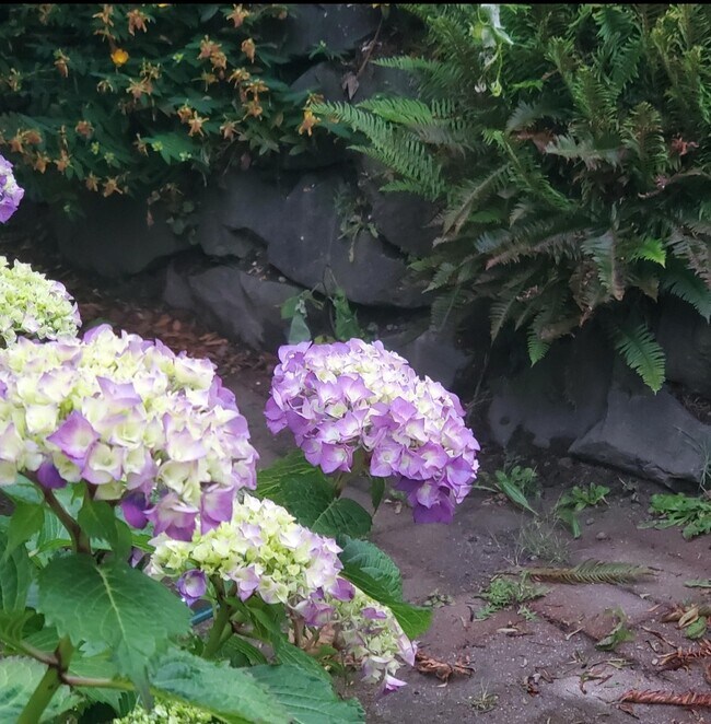 Foto del edificio - 113 NW 176th Plz