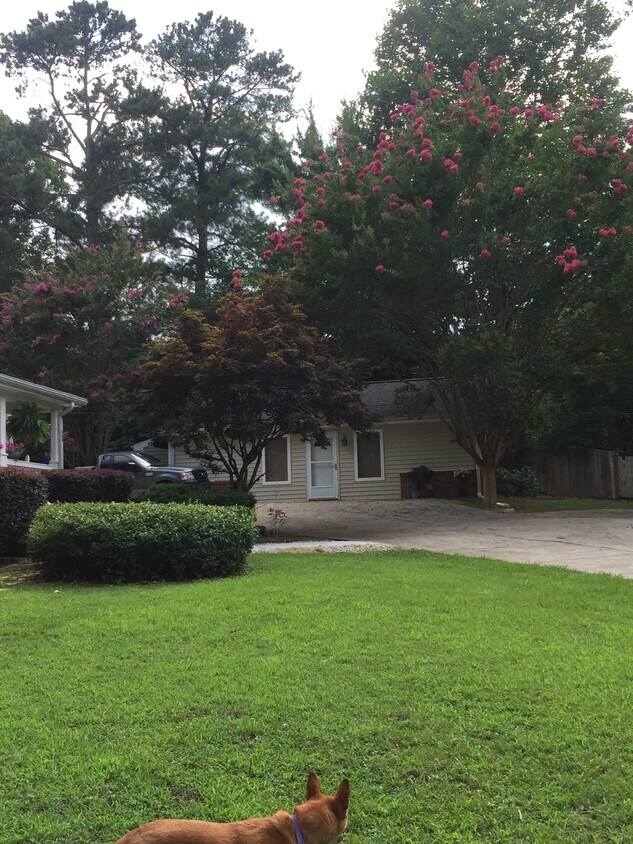 Cottage - 504 Mountain Park Rd