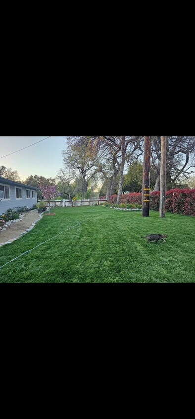 Foto principal - 2092 Cold Springs Rd