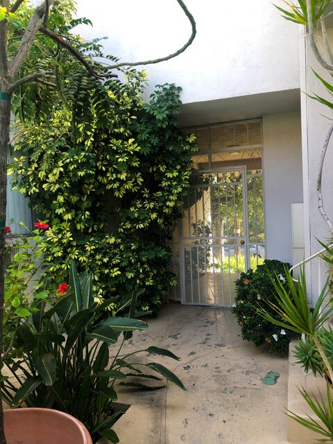 Foto del edificio - 1323 Micheltorena St