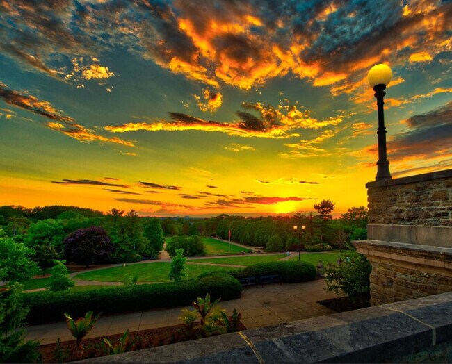 Foto del edificio - 3508 Tarpis Ave