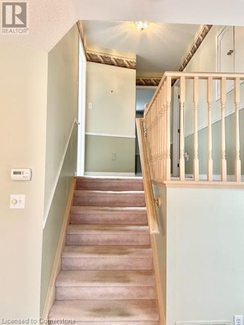Building Photo - 5 Sunvale Pl