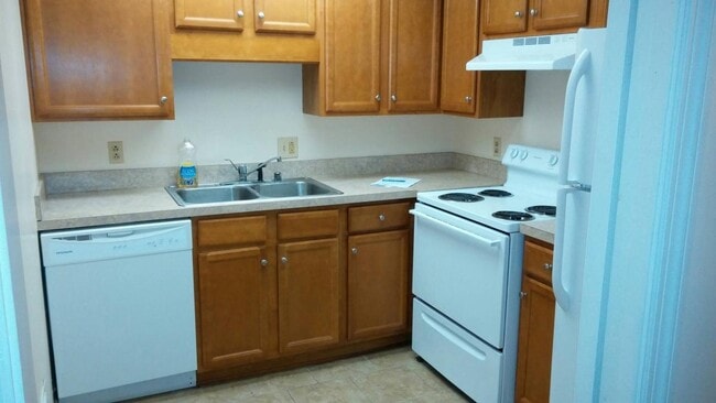 Spacious kitchen. - 261 Meadowview Drive
