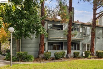 Building Photo - 510 Canyon Oaks Dr