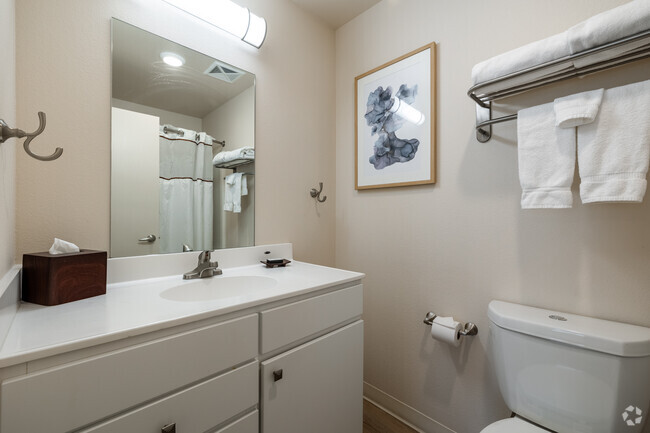 2BR, 2BA - 750SF - Bathroom - WaterWalk Wichita