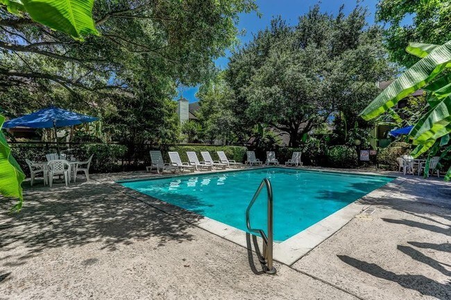 Tres piscinas, dos adultos, una familiar... - 10051 Westpark Dr