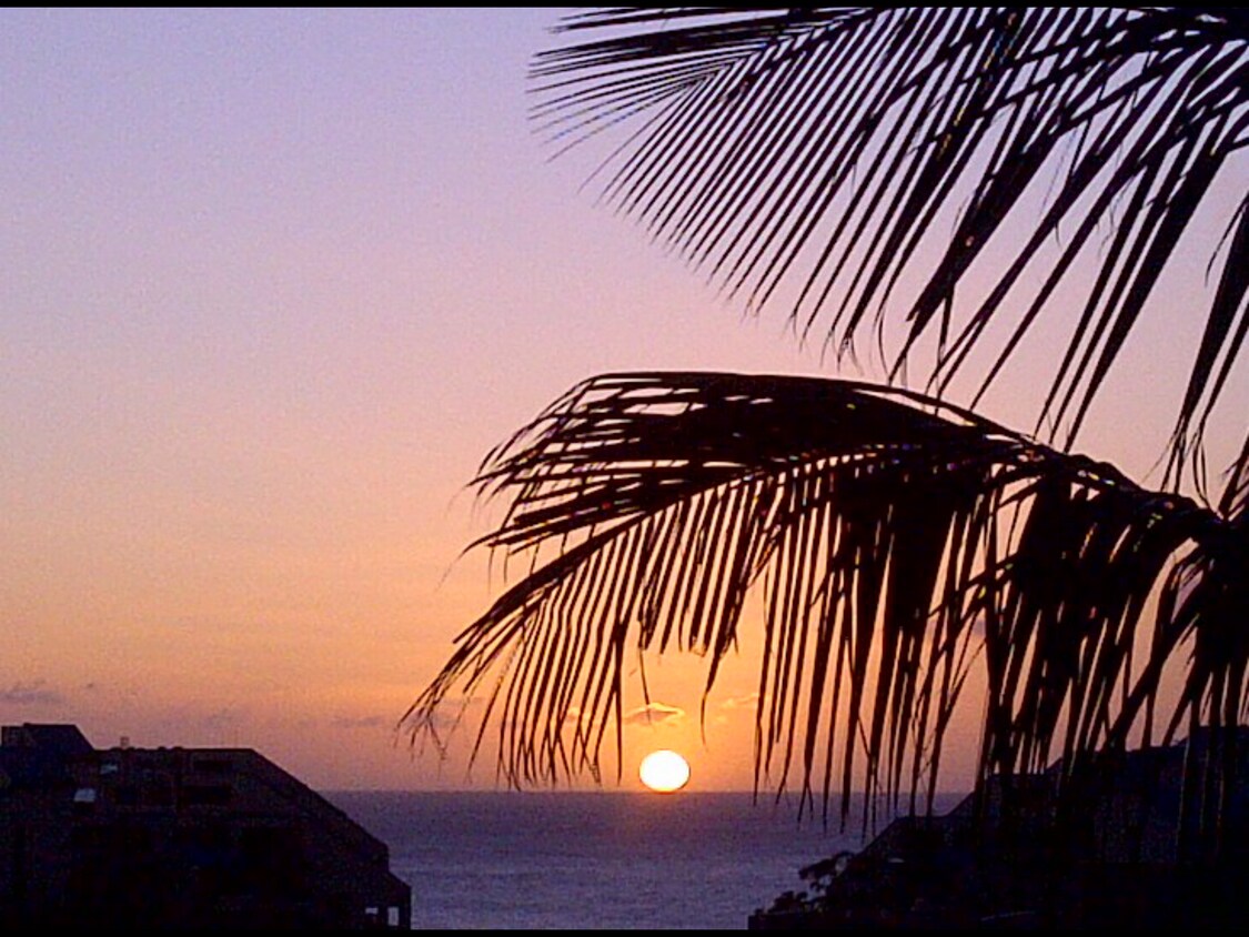 Sunsets 365 days - 17 Jillian Ln