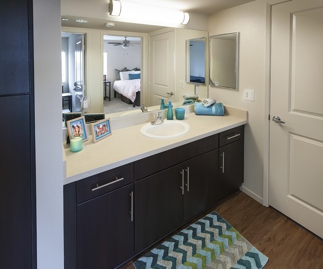 Interior Photo - Zuma