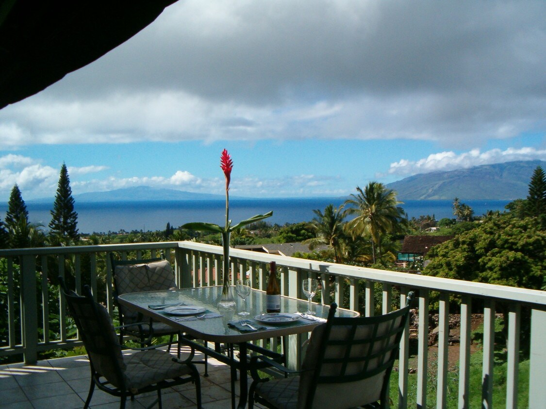 view from deck - 561 Kaleo Pl