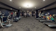 This single-level fitness center offers a comprehensive workout environment designed to accommodate a wide range of exercise disciplines. The space is defined by its striking deep navy walls, which serve as a bold backdrop for large-scale, colorful abstract murals that extend across multiple wall surfaces and structural columns throughout the facility, lending a dynamic and energetic ambiance to the interior.

The fitness center is organized into distinct functional zones. A cardio area lines one side of the space, equipped with treadmills, elliptical trainers, and stationary bikes. At the center of the room, a multi-functional cable and strength training system serves as the focal point, surrounded by open floor space. A dedicated free weights zone features a full dumbbell rack with an adjacent wall-mounted mirror, allowing users to monitor form during training.

A stretching and mat-based exercise area is demarcated by yoga mats laid out on the carpeted floor, alongside a wall-mounted rack holding stability balls of varying sizes and rolled exercise mats. Recessed lighting and a central sputnik-style fixture provide consistent illumination throughout. The gray carpet tile flooring and navy column accents contribute to a cohesive, modern aesthetic across the entire space.