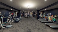 This single-level fitness center offers a comprehensive workout environment designed to accommodate a wide range of exercise disciplines. The space is defined by its striking deep navy walls, which serve as a bold backdrop for large-scale, colorful abstract murals that extend across multiple wall surfaces and structural columns throughout the facility, lending a dynamic and energetic ambiance to the interior.

The fitness center is organized into distinct functional zones. A cardio area lines one side of the space, equipped with treadmills, elliptical trainers, and stationary bikes. At the center of the room, a multi-functional cable and strength training system serves as the focal point, surrounded by open floor space. A dedicated free weights zone features a full dumbbell rack with an adjacent wall-mounted mirror, allowing users to monitor form during training.

A stretching and mat-based exercise area is demarcated by yoga mats laid out on the carpeted floor, alongside a wall-mounted rack holding stability balls of varying sizes and rolled exercise mats. Recessed lighting and a central sputnik-style fixture provide consistent illumination throughout. The gray carpet tile flooring and navy column accents contribute to a cohesive, modern aesthetic across the entire space.