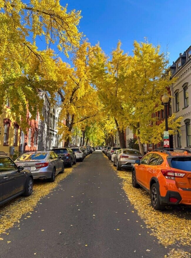 Foto del edificio - 1758 Swann St NW