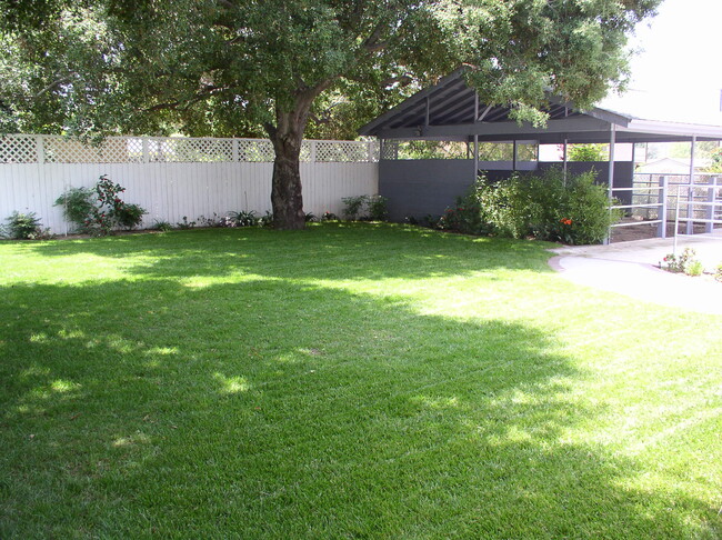 Back Yard - 20062 E Frank Ln