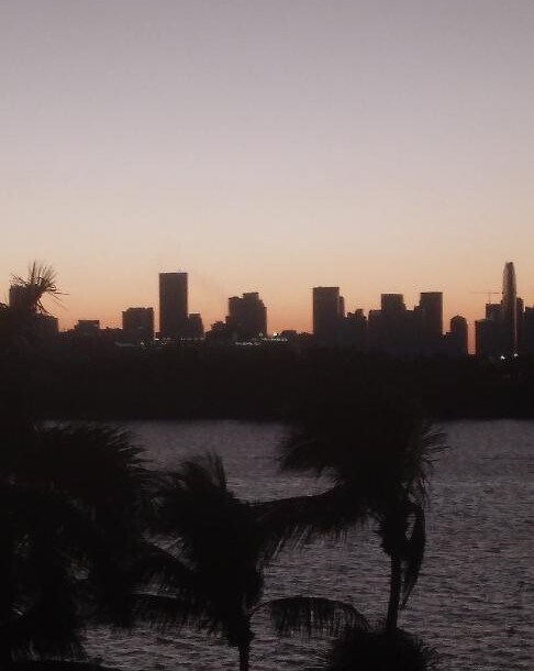 Vista del atardecer desde el balcón - 800 West Ave