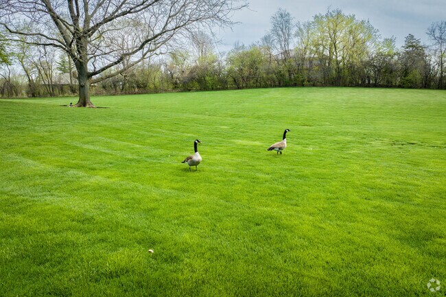 Deer Park's natural landscape is inviting to feathered visitors, as well.