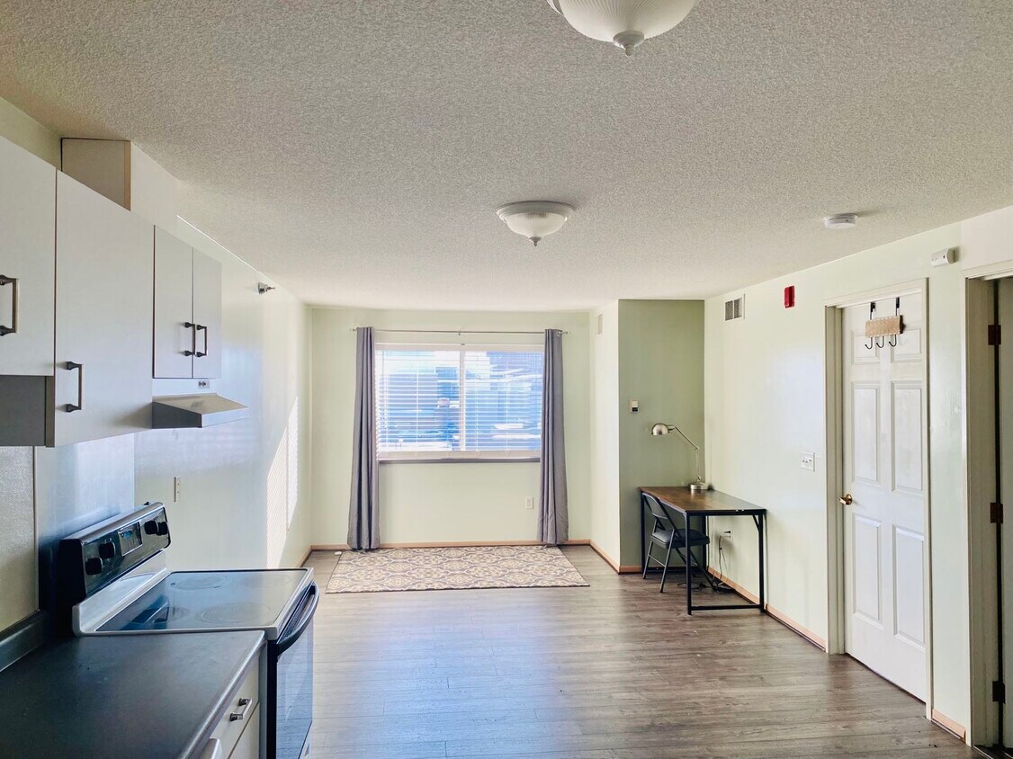 211 1st St NE Unit 409, Rochester, MN 55906 Condo for Rent in