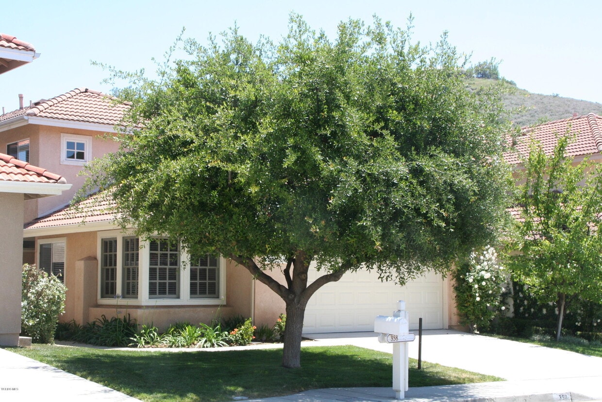 Building Photo - 350 Ocho Rios Way