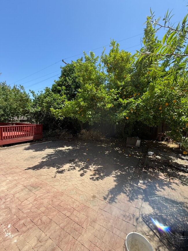 Building Photo - 290 San Leon Dr