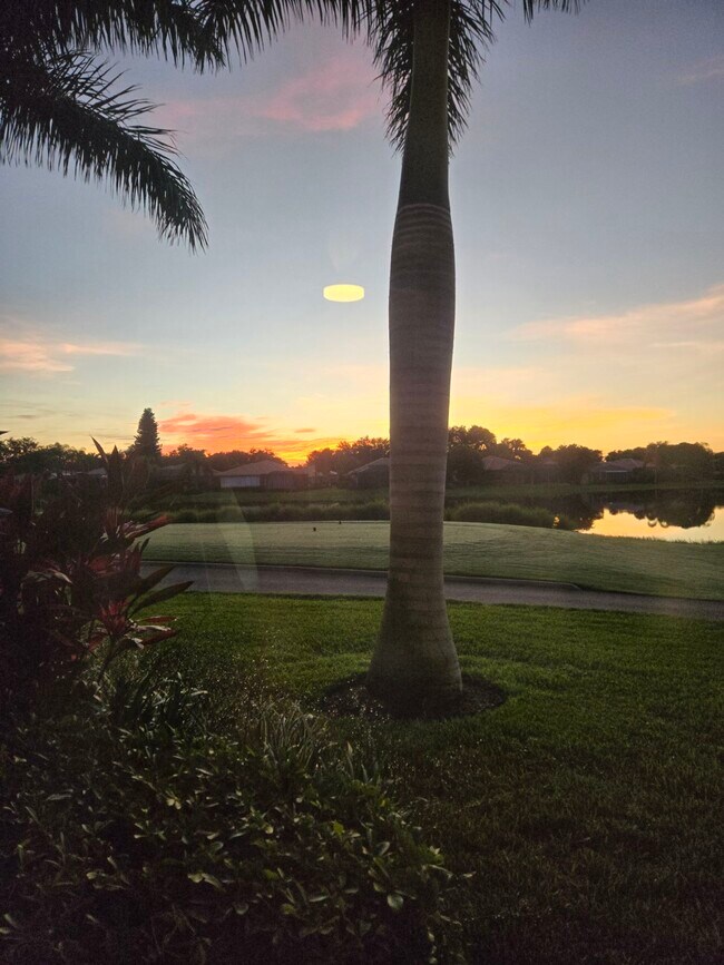 View from Lanai - 13020 Amberley Ct