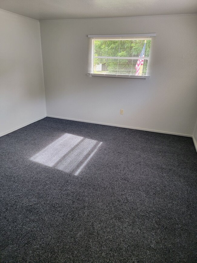 Building Photo - Completely Renovated HUGE 1/1!!!