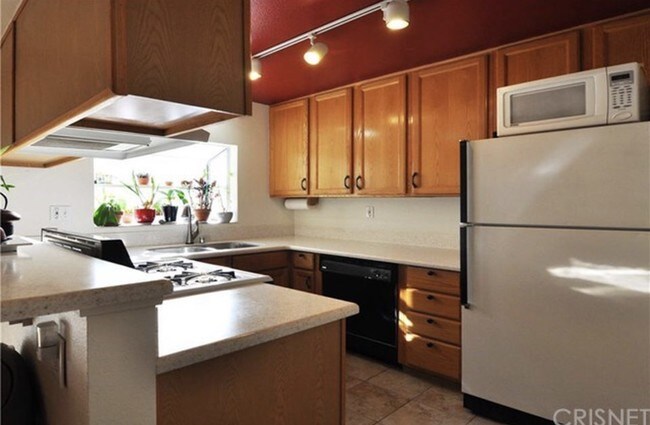 Gas stove, microwave, and fridge - 10125 De Soto Ave