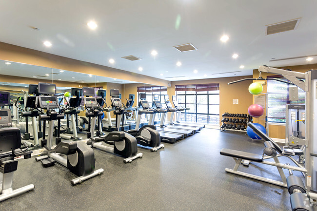 Fitness Center - The Sheffield Englewood