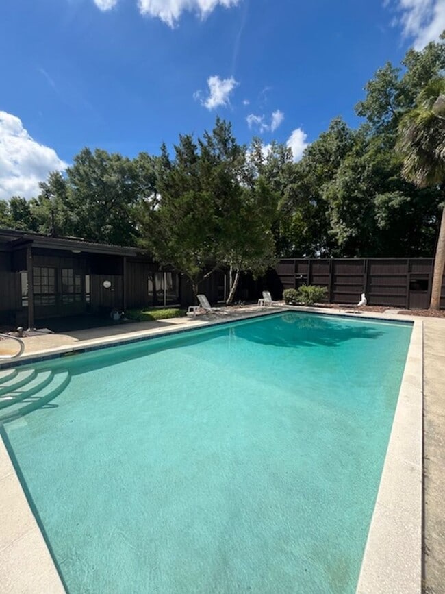 Foto del edificio - Beautiful pool home in Millhopper Forest