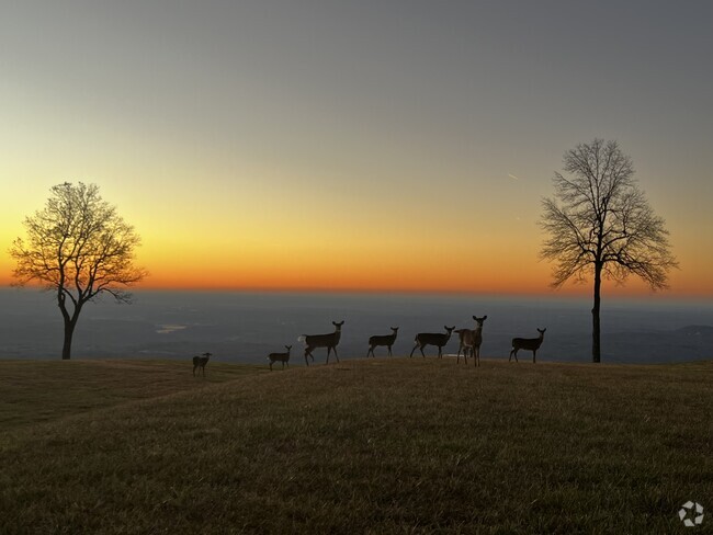 Building Photo - 2881 White Oak Mountain Rd