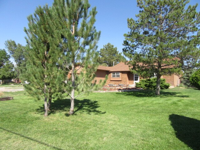 Backyard - 651 S Maple St