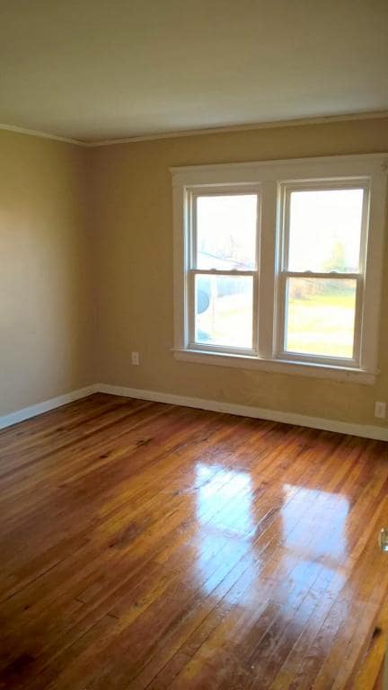 Building Photo - 839 E 146th St