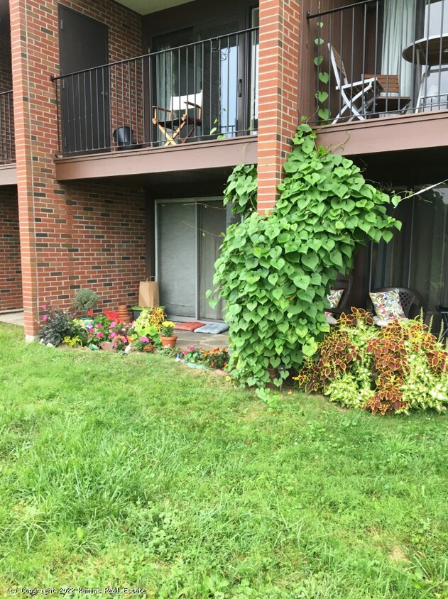 Patio - 242 N East St