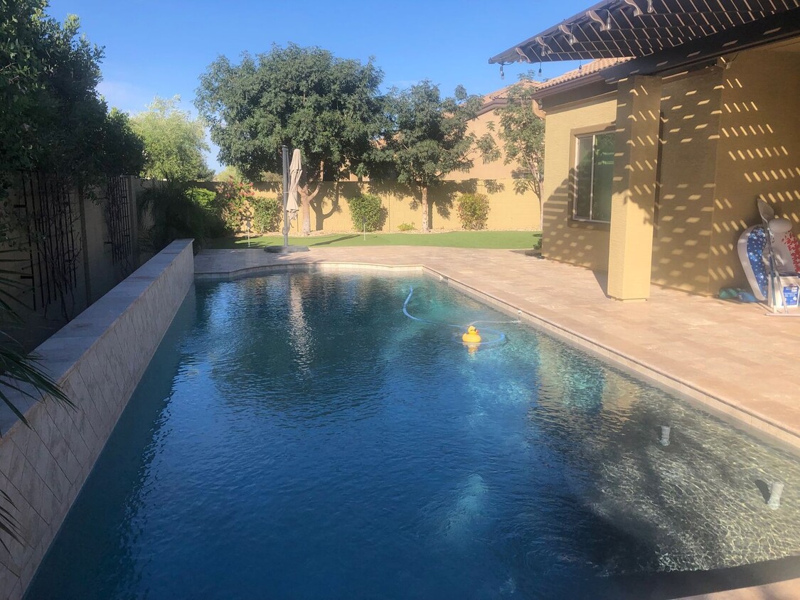 Foto principal - 4 Bedroom home in Queen Creek with Pool