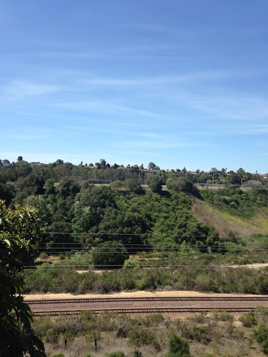Foto del edificio - 7120 Shoreline Dr