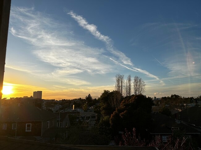 Building Photo - 4106 Terrace St