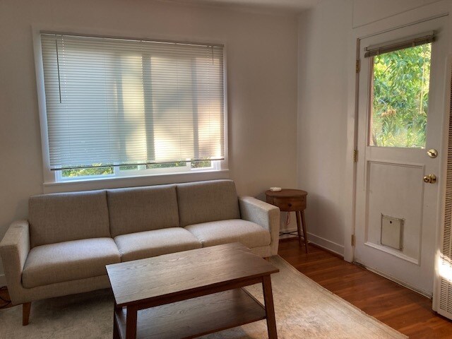 Living Room - 20 Olive Ave