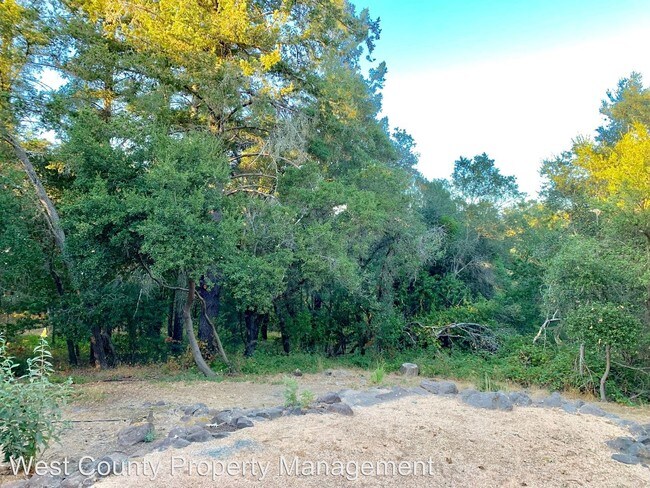 Building Photo - 3 br, 2.5 bath House - 1650 Timberhill Road